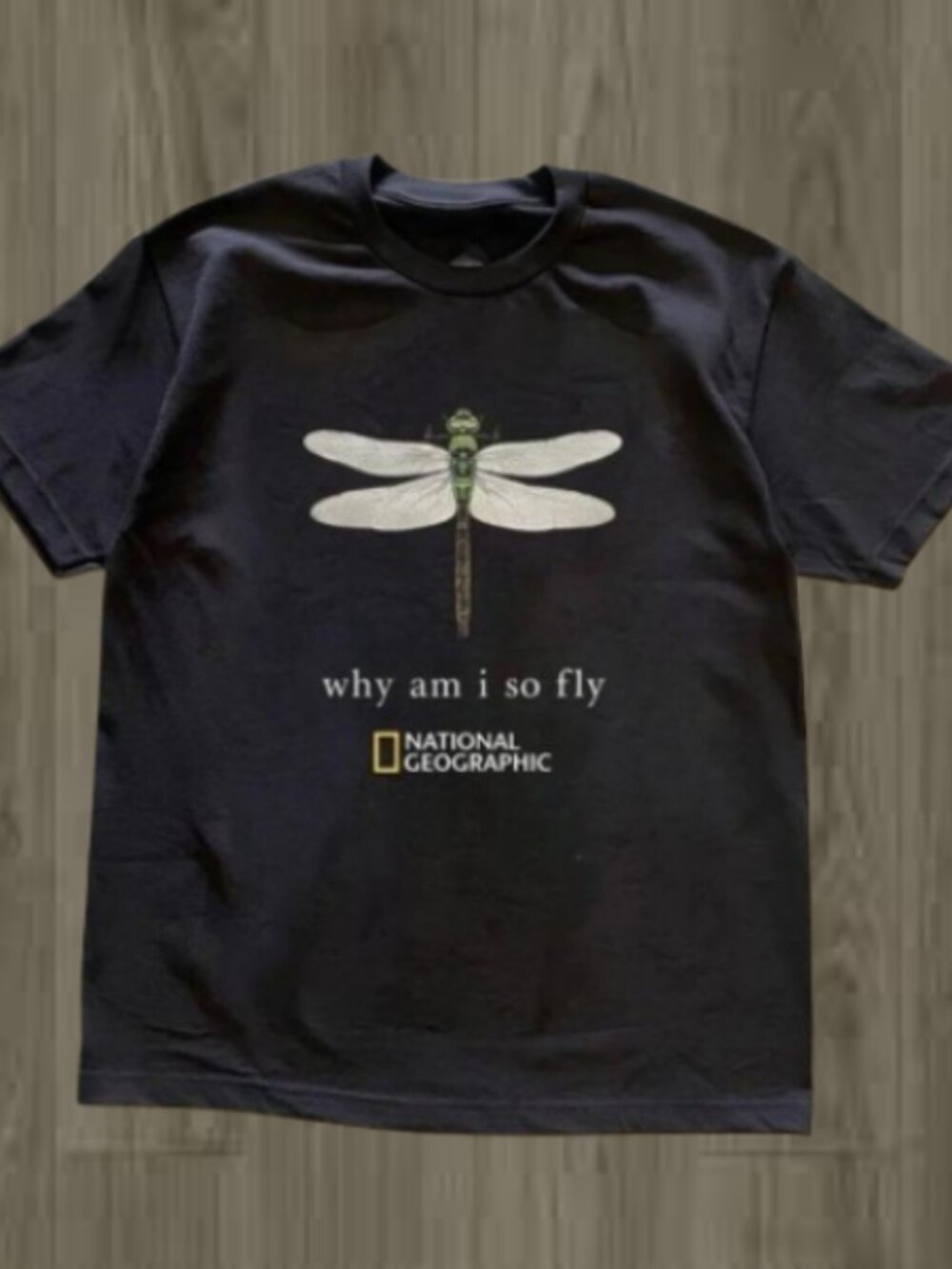 Why Am I So Fly T Shirt